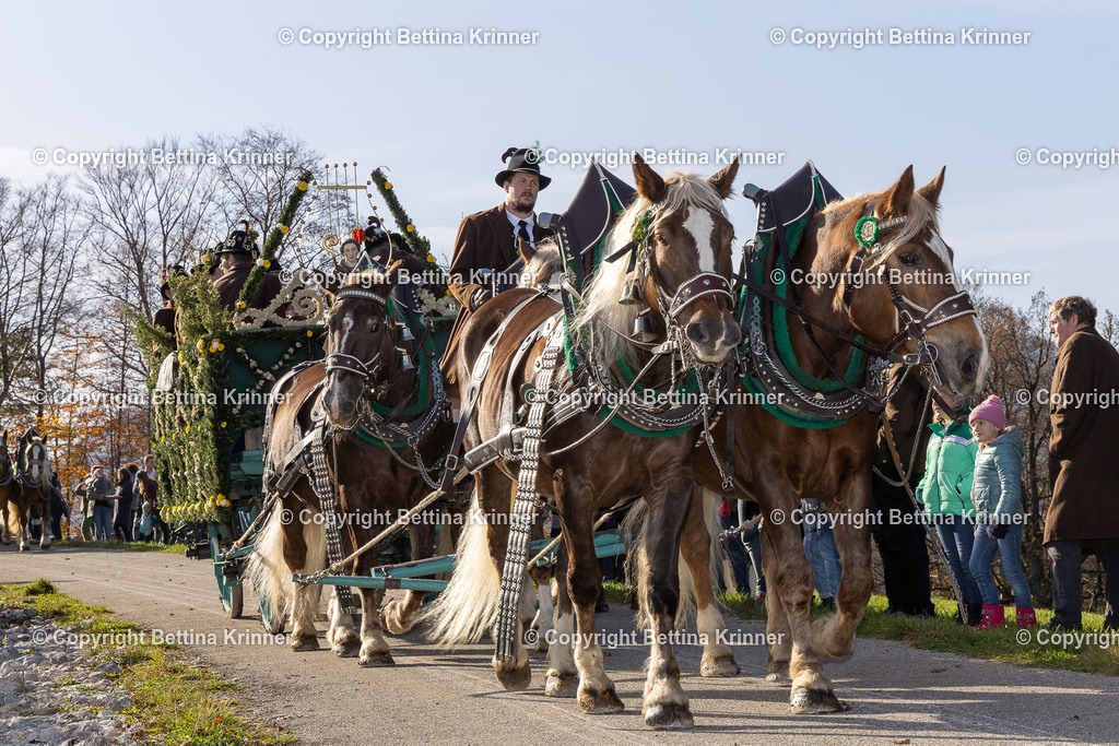 LBT24-1156 | foto-bettina-krinner - Realisiert mit Pictrs.com