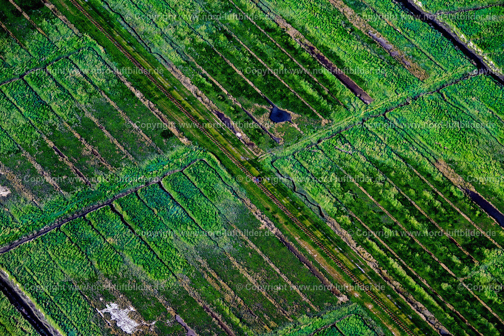 Langeness_Lorenbahn_Mit_Lore_ELS_8640300523 | LANGENEß 30.05.2023 Lorenbahn auf der Hallig Langeneß im Bundesland Schleswig-Holstein, Deutschland. // Lorenbahn on the Hallig Langeness in the state Schleswig-Holstein, Germany. Foto: Martin Elsen