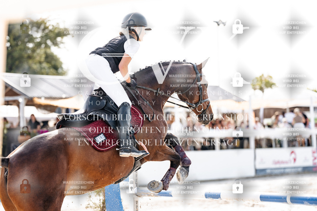CK905816 | Turnierfotografie Pferdefotografie Trier Rheinland-Pfalz Pferdesport Reitsport Tierfotografie Sportfotografie Pferdevideo Pferdevideografie Equestrianvideography equestrianphotography  - Realisiert mit Pictrs.com