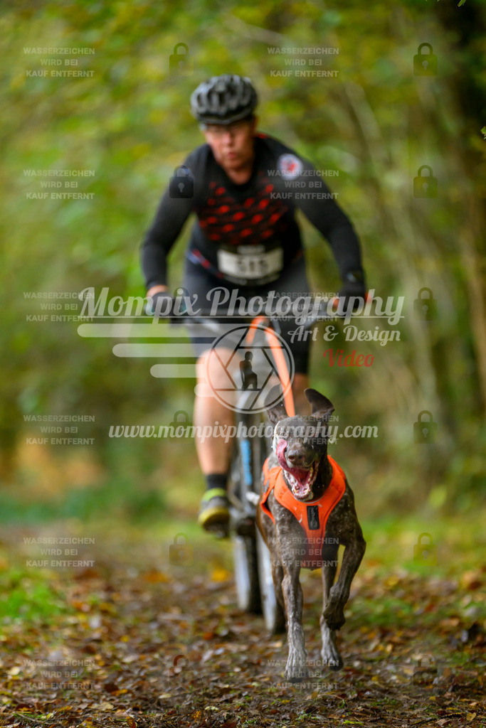 MompixPhotography_20TSB_E1_Bike-75 | PayLife