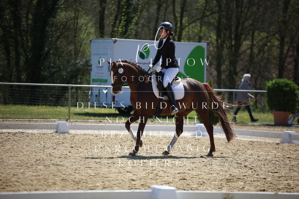 IMGT2542 | pl-fotografie