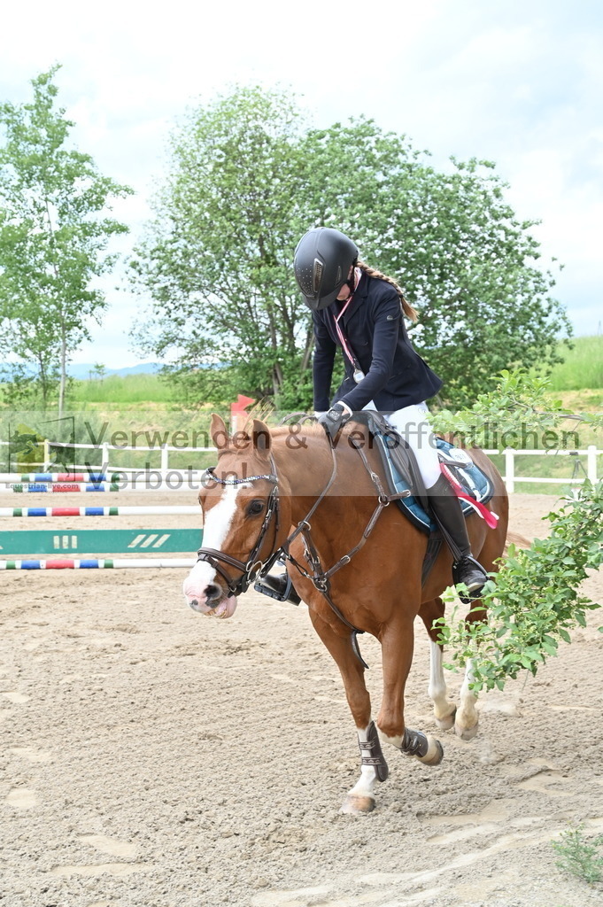 DSC_8412 | equestrian-live-com