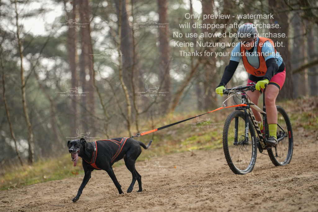 Bike1-364 | stephaniefillaphotographie - Realisiert mit Pictrs.com