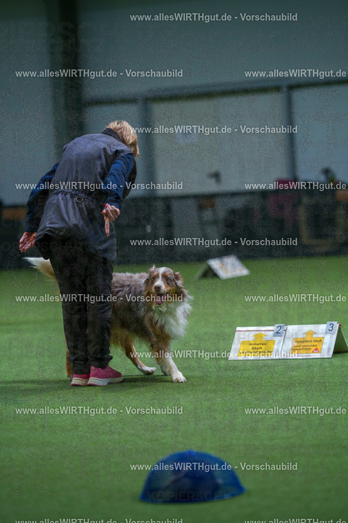 7R506371 | Professionelle Tierfotografie in Mönchengladbach von Daniel Wirth (allesWIRTHgut). Liebevolle & natürliche Bilder von Hunden & Katzen für unvergessliche Erinnerungen.