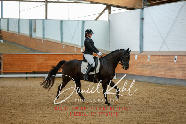 _62_6563 | Turniersportfotografie; Pferdefotografie; Dressurfotografie