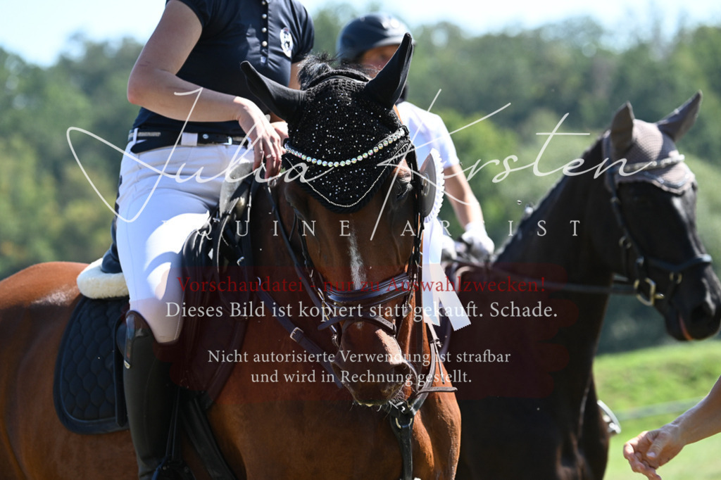 DSC_6489 | Pferde- und Turnierfotografie in Westsachsen. Pferdeportraits, Auftragszeichnungen und intuitive Kunst.