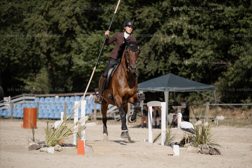 WS_SP_111_Stoibphotography_SO11785 | working equitationturnier fotograf videograf stoibphotography marixx film working equitation deutschland reitsport turnierfotografie eventfotografie equestrian events