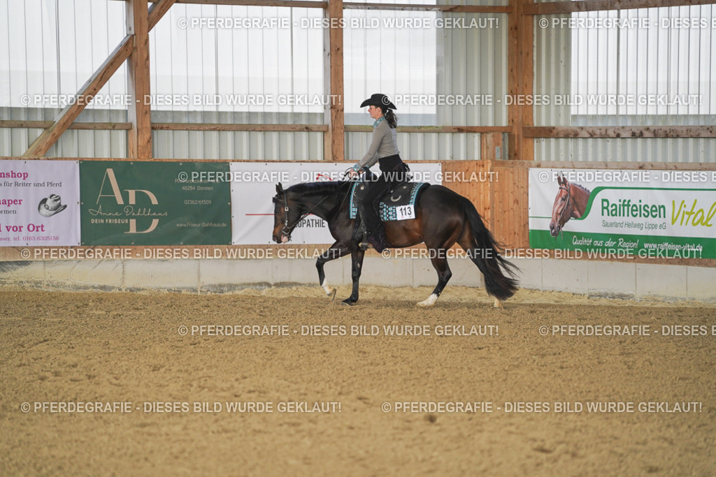 DSC09934 | Pferdegrafie