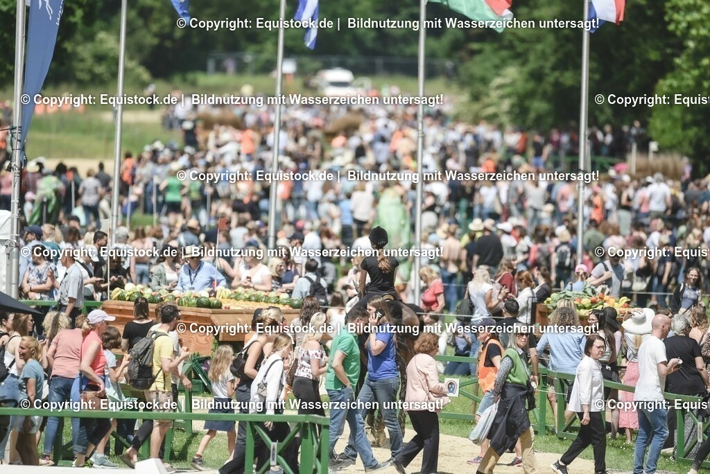 TP5_1359 | equistock