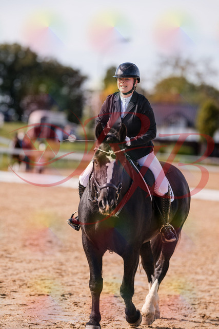 2026_10_03_Siefer-Hof_131955_Z81_70839224 | Professionelle Reitsport-, Turnier- und Eventfotografie von Robert Broda. Galerien mit ausgewählten und bearbeiteten Bildern direkt online ansehen und bestellen.