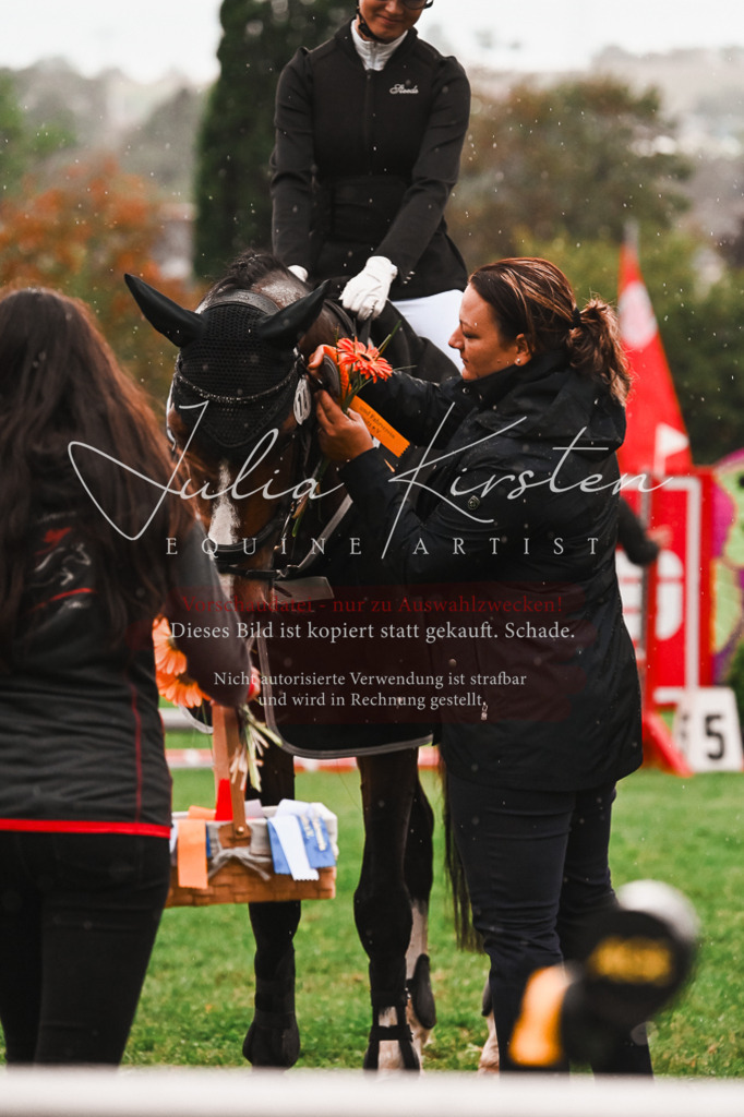 DSC_6202 | Pferde- und Turnierfotografie in Westsachsen. Pferdeportraits, Auftragszeichnungen und intuitive Kunst.