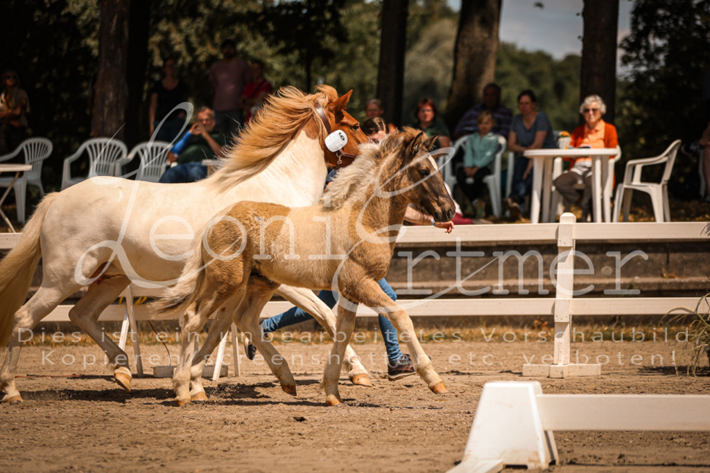 02.DoSR00007 | Leoni Ertmer Photography - Realisiert mit Pictrs.com