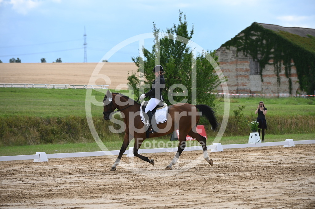 DSC_7628 | sattelsport - Realisiert mit Pictrs.com