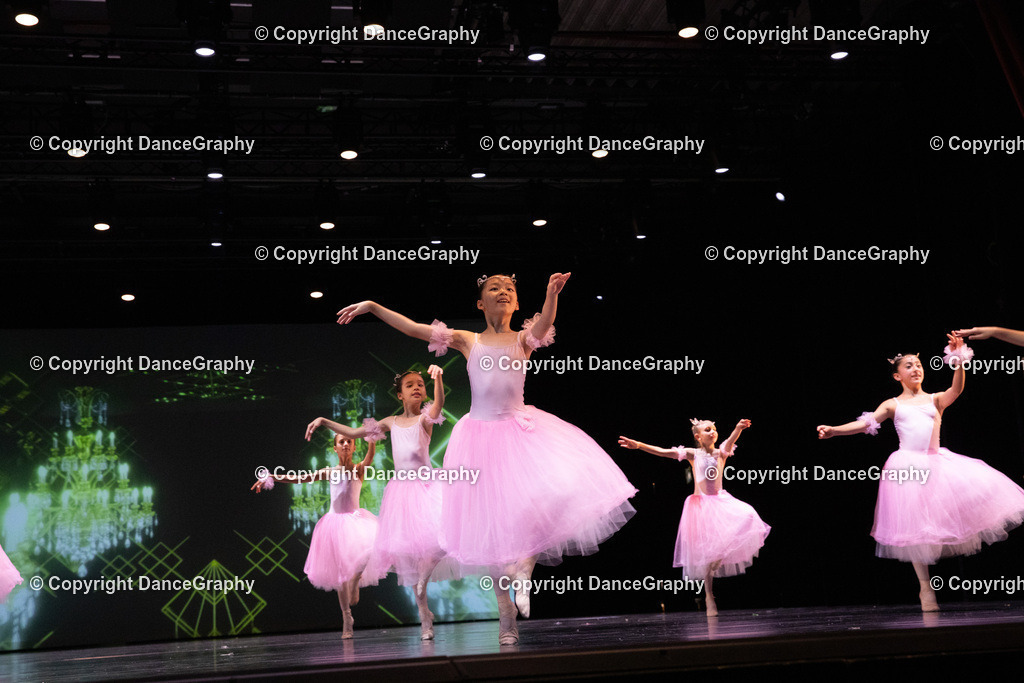 GPHY6730 | DanceGraphy - Realisiert mit Pictrs.com