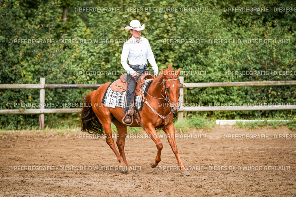 DSC09135 | Pferdegrafie