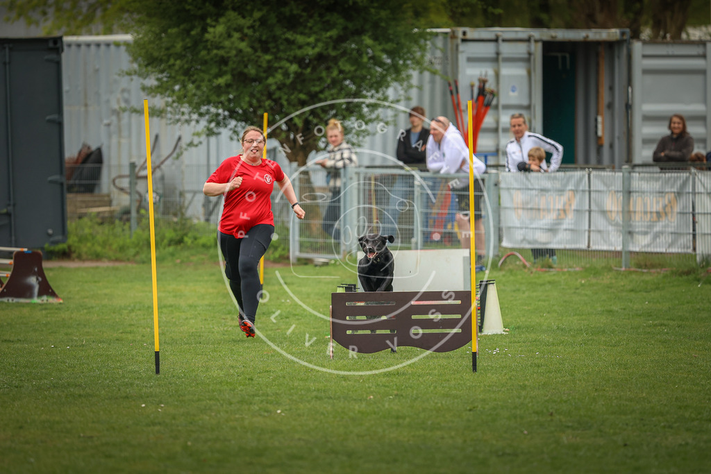 Pfotenfotografie_0L8A1832 | Hundefotografie, Tierfotograf, Pfotenfotografie, Fotoshooting Hund, Hunde Portrait, Hundesport, Hundeportraits, Heideshooting, Hunde, Sportfotograf, Hundefotograf, Turnierhundsport, THS,  - Realisiert mit Pictrs.com