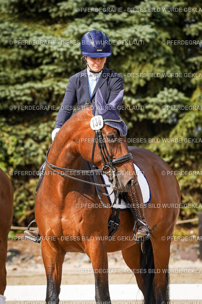 DSC07507 | Pferdegrafie