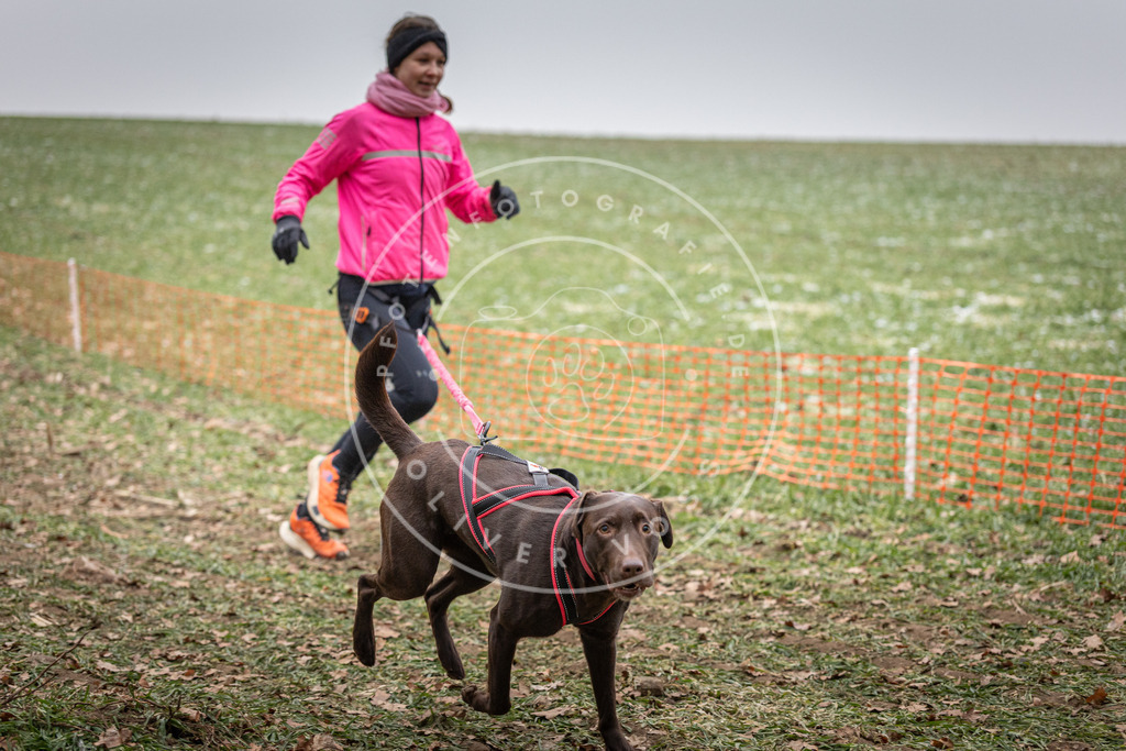 Pfotenfotografie_DV3A1878 | Hundefotografie, Tierfotograf, Pfotenfotografie, Fotoshooting Hund, Hunde Portrait, Hundesport, Hundeportraits, Heideshooting, Hunde, Sportfotograf, Hundefotograf, Turnierhundsport, THS,  - Realisiert mit Pictrs.com