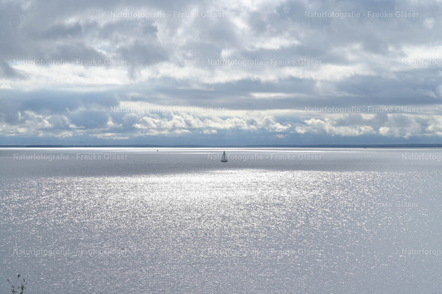 Lichtspiel | Naturfotografie Frauke Gläser - Realisiert mit Pictrs.com