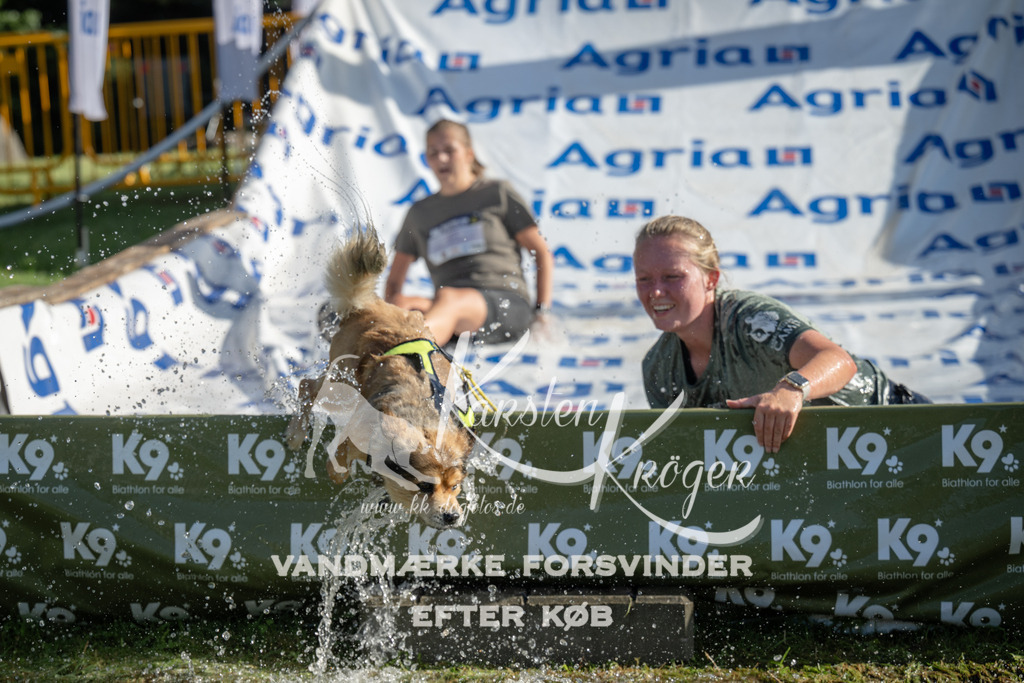 0943_ZZ96823 | kk-dogfotos