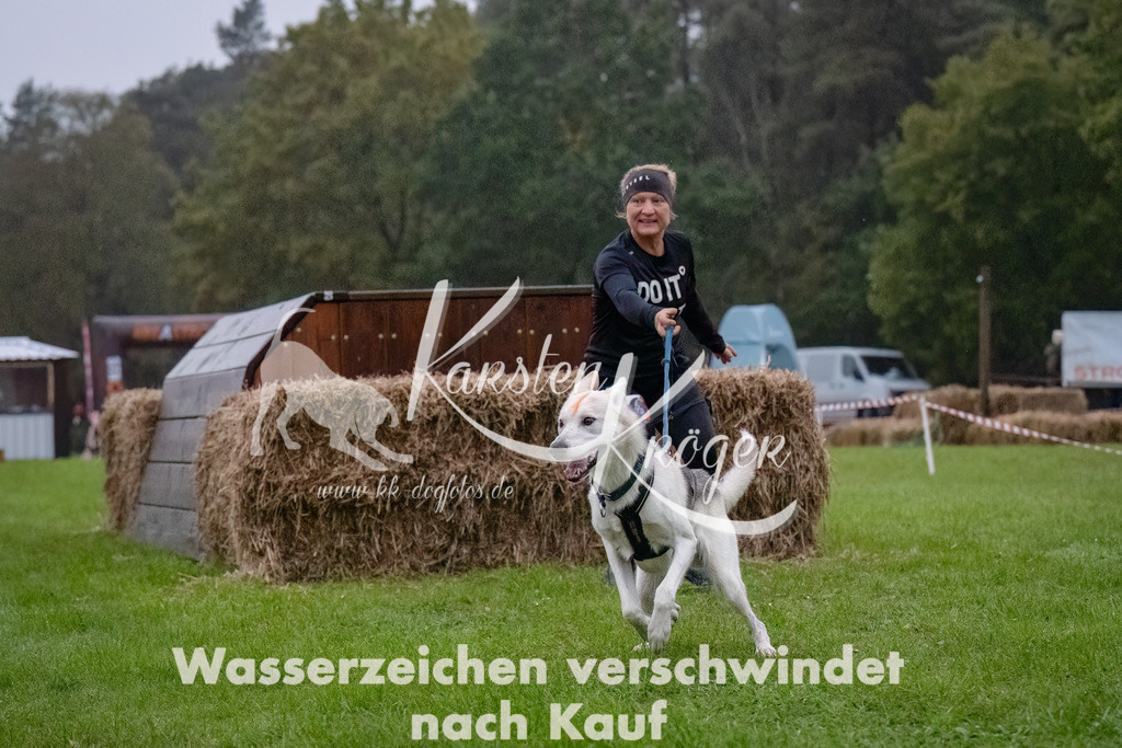 0814-_ZZ90773-Bearbeitet-Bearbeitet | kk-dogfotos