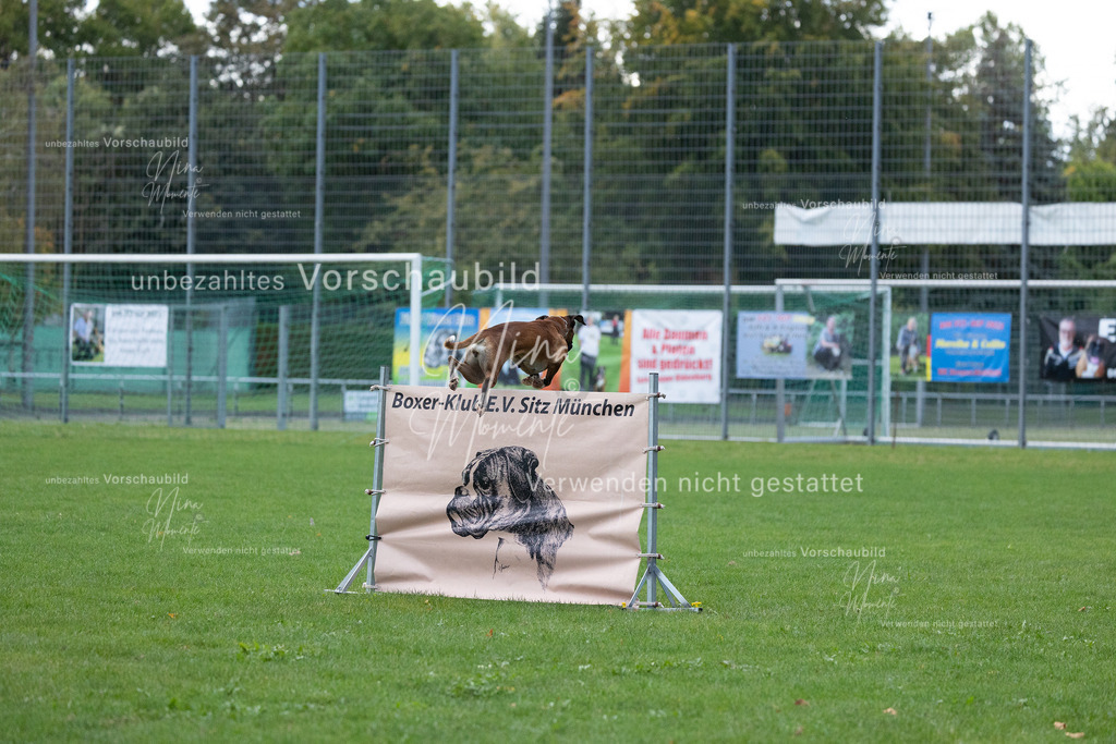 _16A4682 | Einzigartige Fotos von Hunden & Menschen –Actionfotos, Portraits, Vereinsaufnahmen & Paarshootings – authentisch, lebendig & mit Herz.