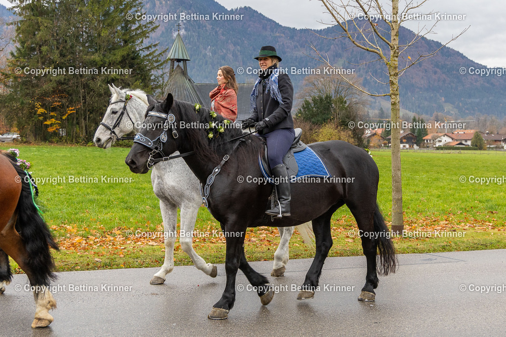 LL25-50 | foto-bettina-krinner - Realisiert mit Pictrs.com