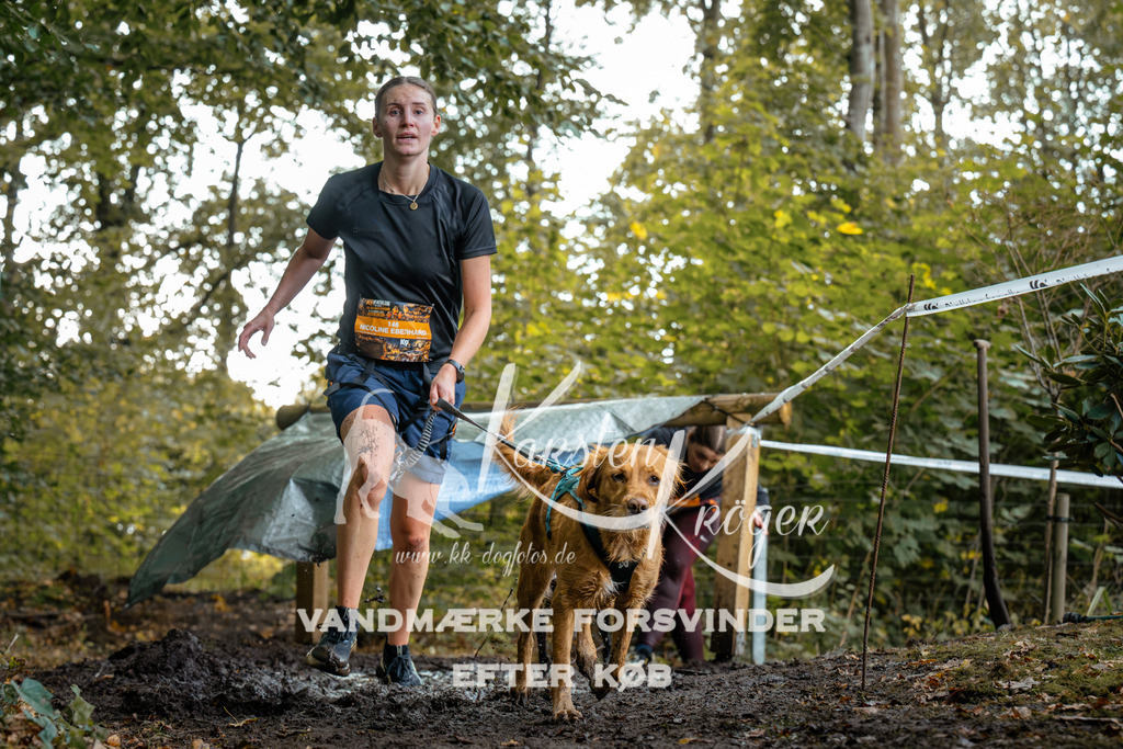 1410DZ6_1156Z6 | kk-dogfotos