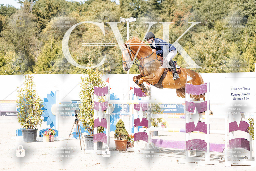 CK904807 | Turnierfotografie Pferdefotografie Trier Rheinland-Pfalz Pferdesport Reitsport Tierfotografie Sportfotografie Pferdevideo Pferdevideografie Equestrianvideography equestrianphotography  - Realisiert mit Pictrs.com