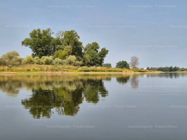 F.Gläser_122736 | Naturfotografie Frauke Gläser - Realisiert mit Pictrs.com