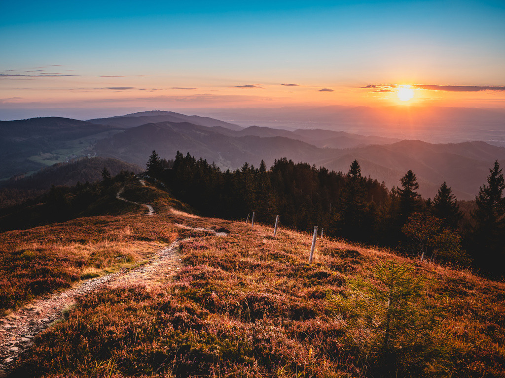 P1160046 | Bilder-Onlineshop für Heimatbilder vom Schwarzwald und Oberrhein. Galeriebilder auf Acrylglas, Alu-Dibond, Leinwand und Poster online bestellen. Der Schwarzwald als Wandbild für Ihr Zuhause! | Art, Kunst, Wandbilder, Black Forest, Deko - Realisiert mit Pictrs.com