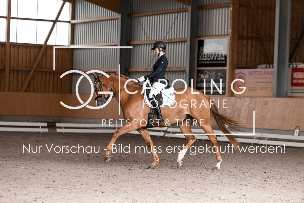 DSC_1375 | Turnierfotografin Carolin Gieschke, Turnierfotografie Carolin G Fotografie, Turnierfotos Kirchheim/Teck, Esslingen, Stuttgart, Bodenseekreis