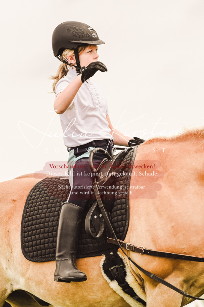 DSC_5228 | Pferde- und Turnierfotografie in Westsachsen. Pferdeportraits, Auftragszeichnungen und intuitive Kunst.