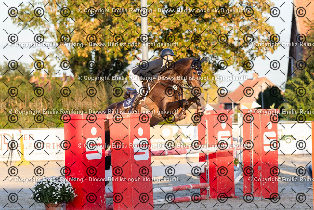 CL5A4519 | Emilia Reinking Fotografie - Realisiert mit Pictrs.com