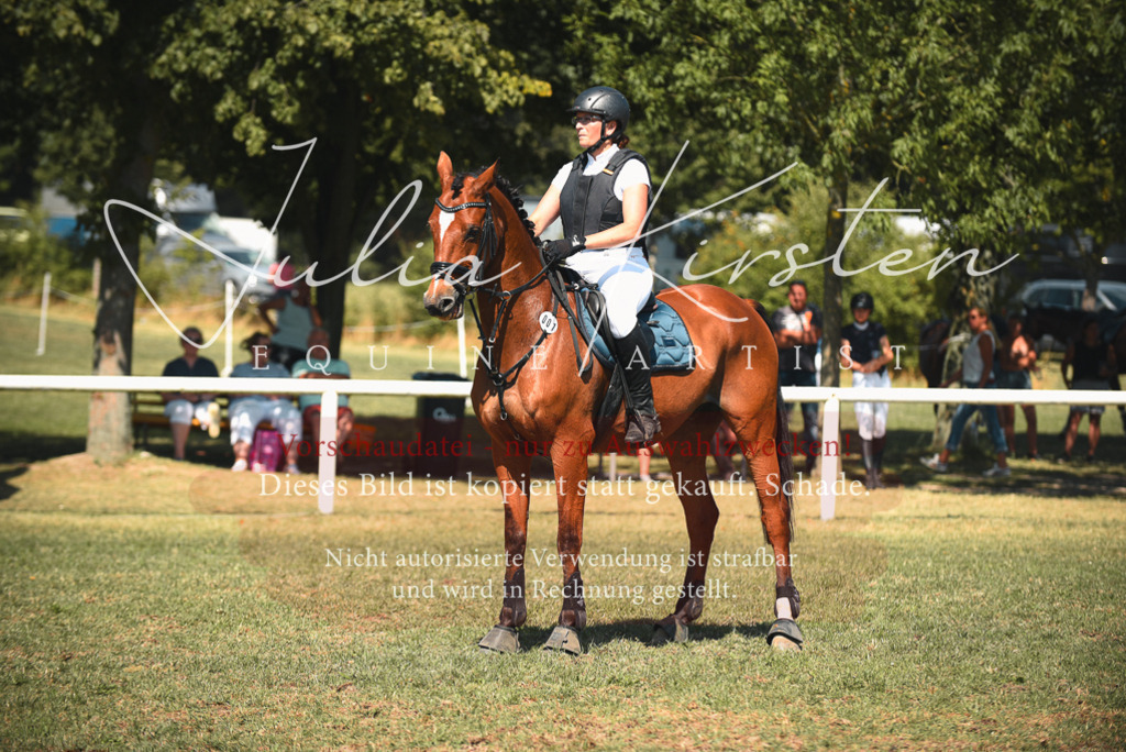DSC_6936 | Pferde- und Turnierfotografie in Westsachsen. Pferdeportraits, Auftragszeichnungen und intuitive Kunst.