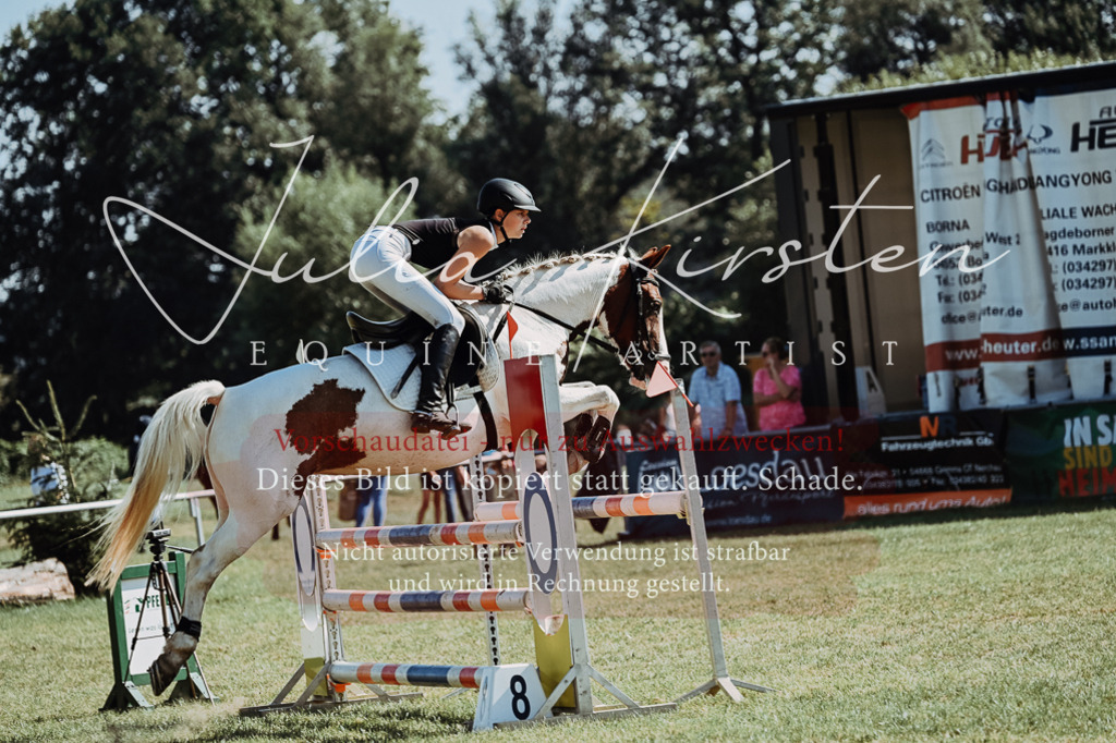 DSC_6069 | Pferde- und Turnierfotografie in Westsachsen. Pferdeportraits, Auftragszeichnungen und intuitive Kunst.