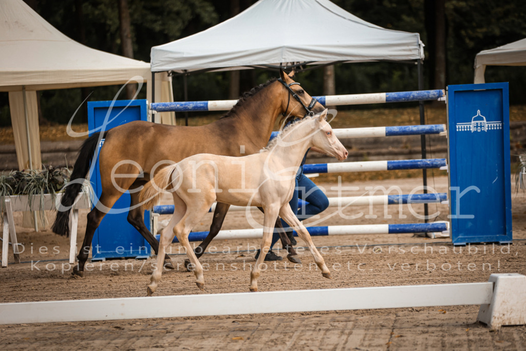 10.DoRP00047 | Leoni Ertmer Photography - Realisiert mit Pictrs.com