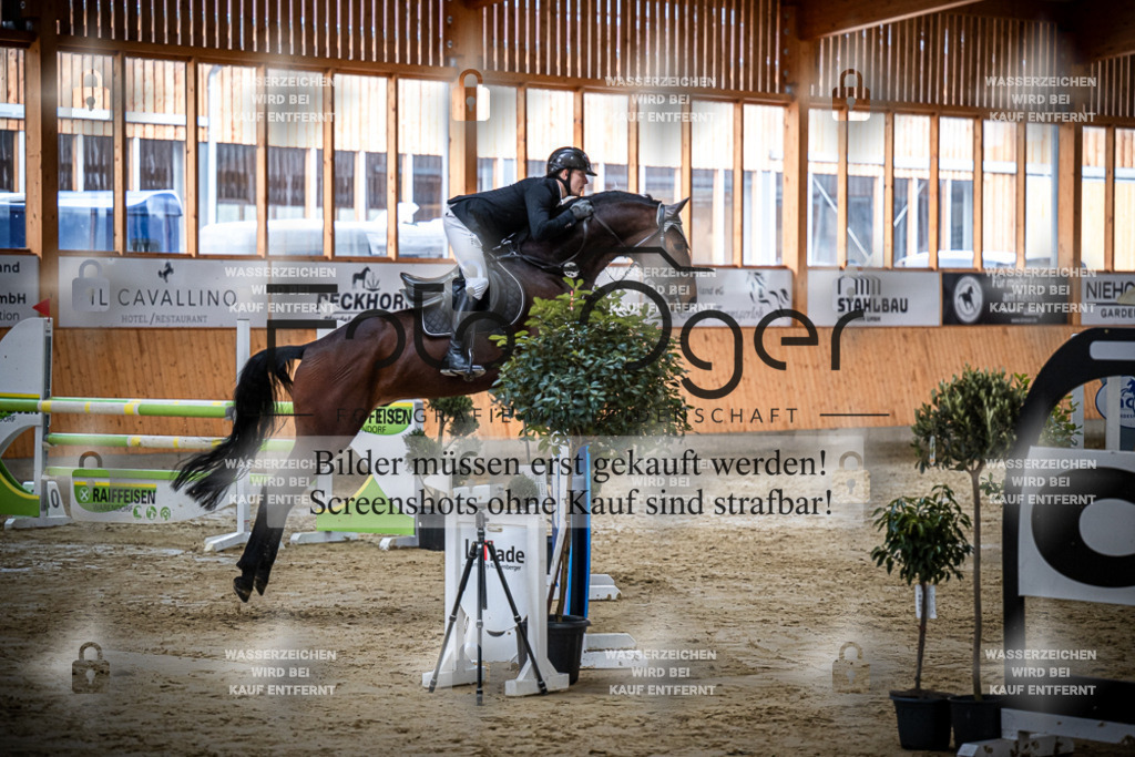 DOS_1782 | Entdecke hochwertige Reitturnierfotos von Foto Oger. Professionell, emotional und authentisch – jetzt Lieblingsmomente im Shop bestellen.Deutschlandweite Turnierfotografie. - Realisiert mit Pictrs.com