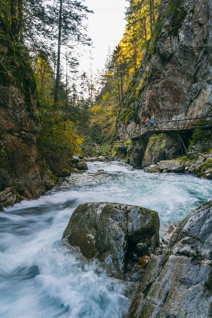 Groppensteinschlucht_2022-1035 | piet_flosse