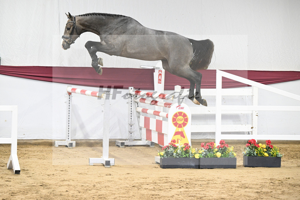 Kat-Nr. 11 Clarimo x Corrado I_Josef Schoenweiler_ 47250159 | hf-fotografie - Realisiert mit Pictrs.com