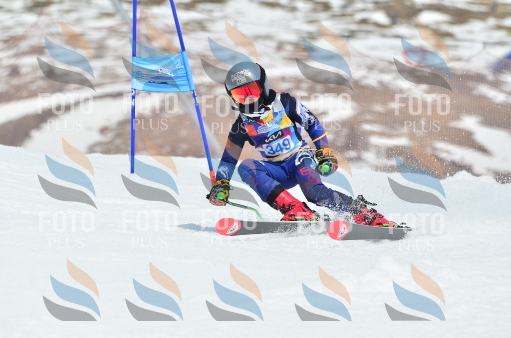 _ELE2650 | holidayphoto