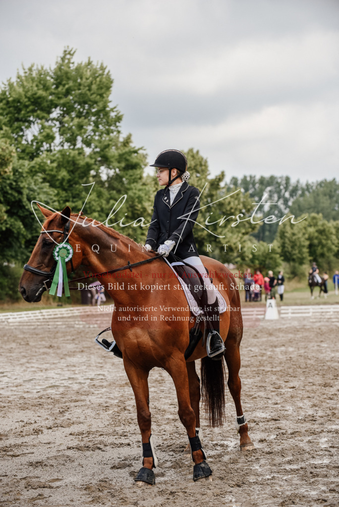 DSC_9372 | Pferde- und Turnierfotografie in Westsachsen. Pferdeportraits, Auftragszeichnungen und intuitive Kunst.