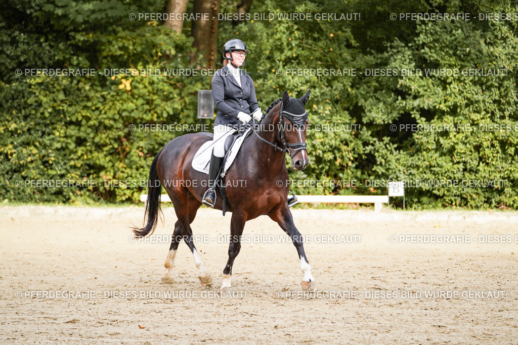 DSC09662 | Pferdegrafie