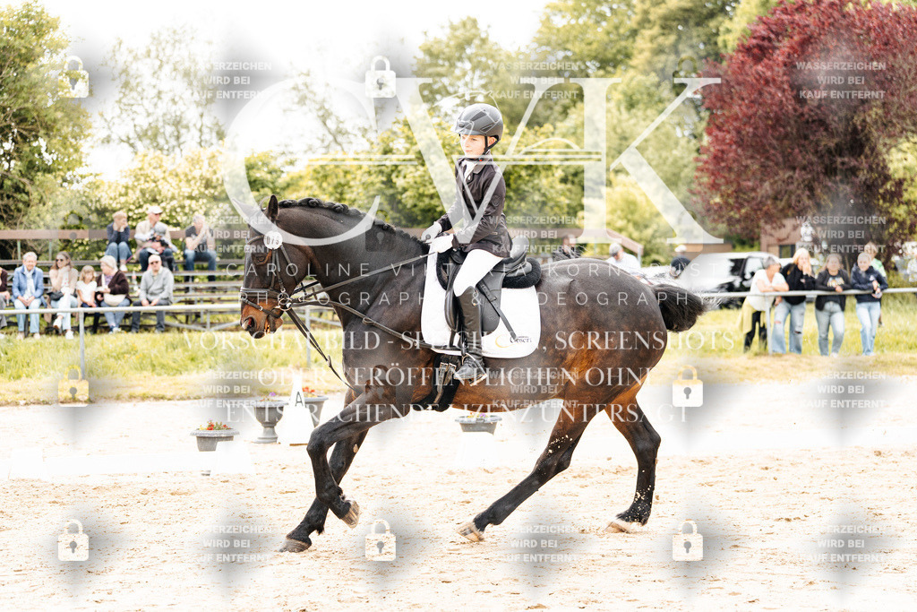 CK904353 | Turnierfotografie Pferdefotografie Trier Rheinland-Pfalz Pferdesport Reitsport Tierfotografie Sportfotografie Pferdevideo Pferdevideografie Equestrianvideography equestrianphotography  - Realisiert mit Pictrs.com