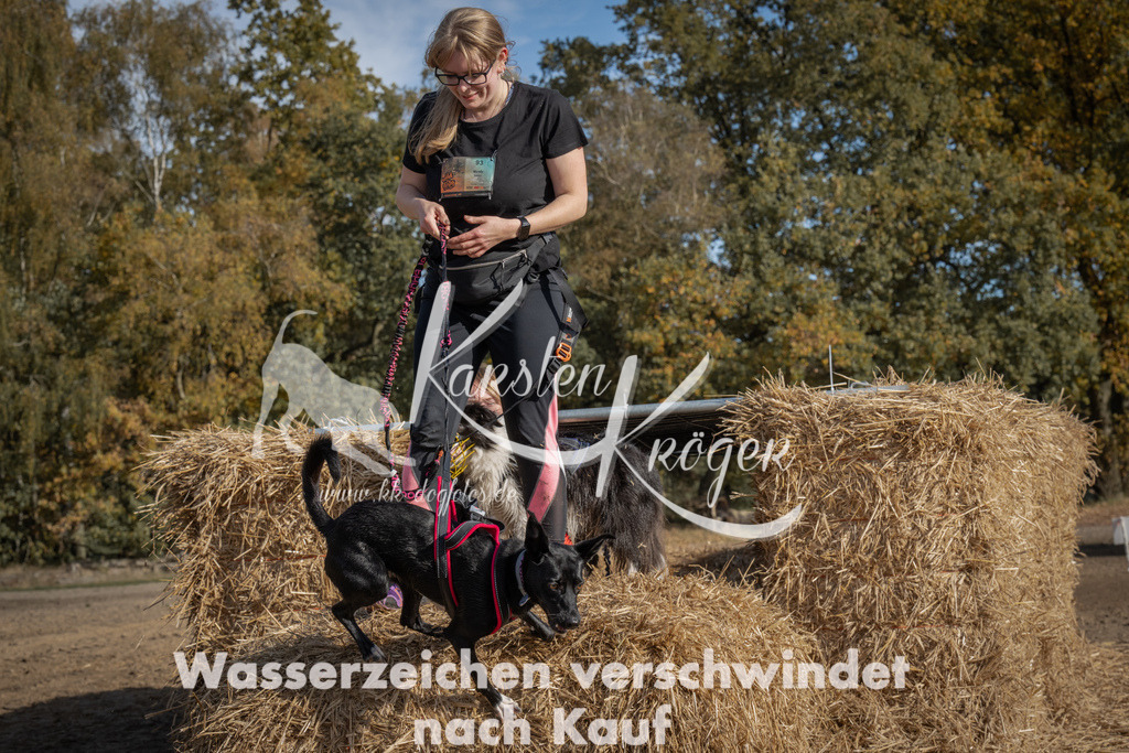 1141_ZZ92510 | kk-dogfotos