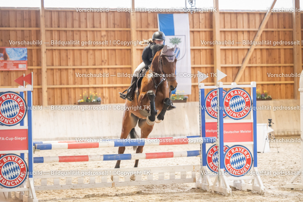 _D5A8231 | Emotionale Pferde- & People-Fotografie rund um Heidelberg, Leimen & Umgebung. Natürliche Fotos von Pferd, Mensch & Familie. Jetzt Termin sichern!