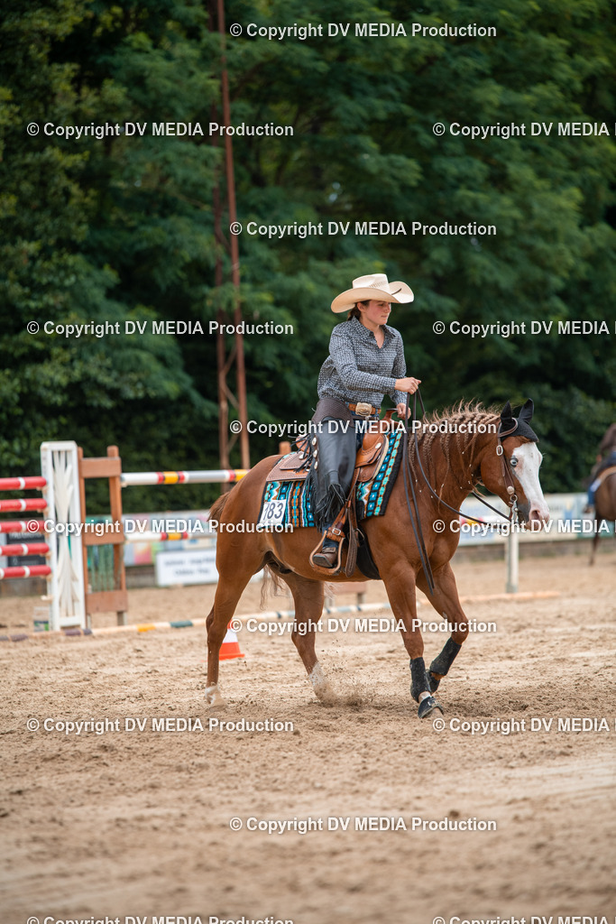 ZS2_8542 | dv-media-shop - Realisiert mit Pictrs.com