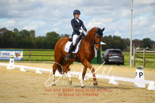 DKP44116 | Turniersportfotografie; Pferdefotografie; Dressurfotografie