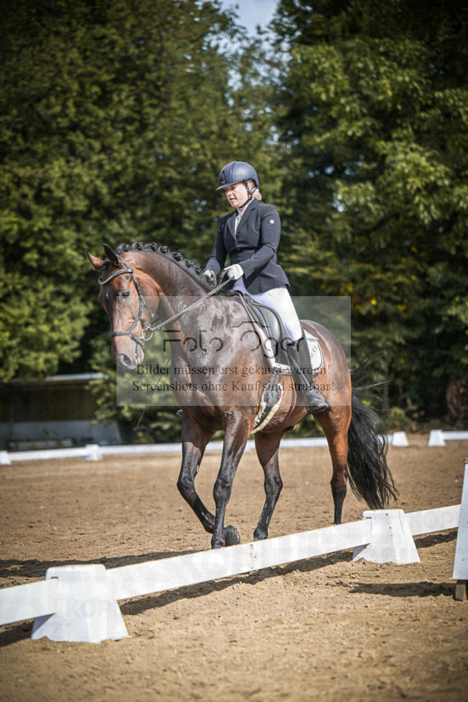 DOS_4090 | Entdecke hochwertige Reitturnierfotos von Foto Oger. Professionell, emotional und authentisch – jetzt Lieblingsmomente im Shop bestellen.Deutschlandweite Turnierfotografie. - Realisiert mit Pictrs.com