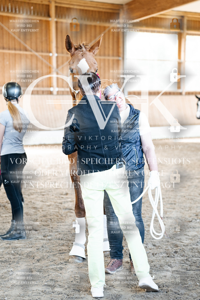 CK703192 | Turnierfotografie Pferdefotografie Trier Rheinland-Pfalz Pferdesport Reitsport Tierfotografie Sportfotografie Pferdevideo Pferdevideografie Equestrianvideography equestrianphotography  - Realisiert mit Pictrs.com